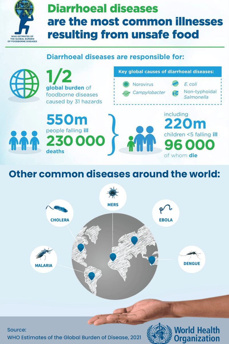World Health Organization global disease infographic